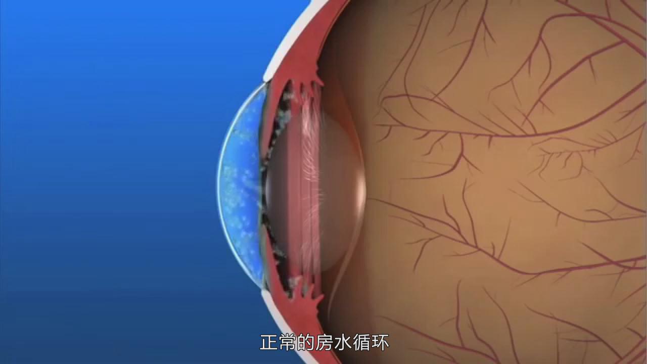 &#108;&#101;&#121;&#117;